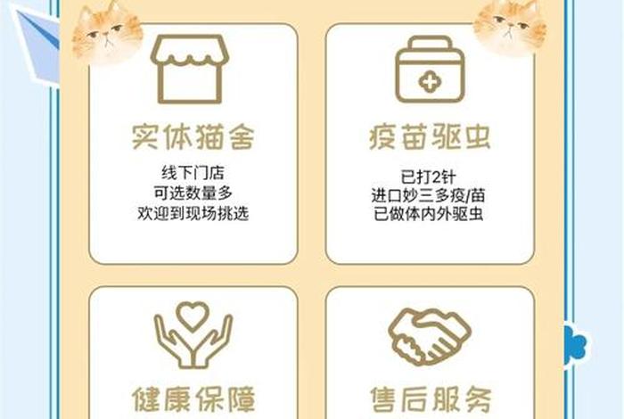 爱猫生活吧团购，爱猫生活小组暗号是什么