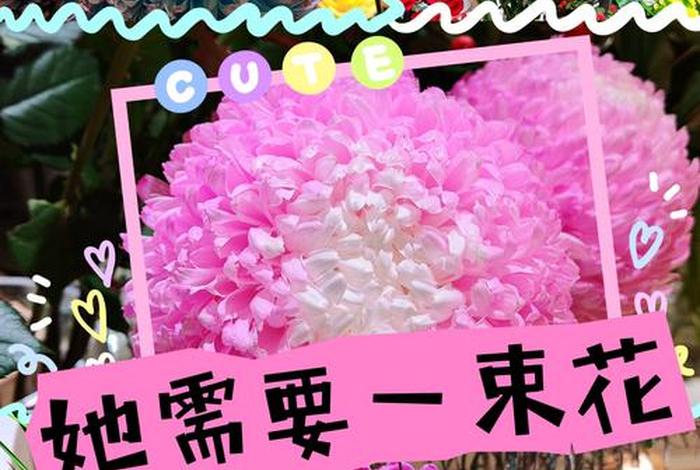 装点生活的鲜花 - 鲜花装点生活的每句 装点生活的鲜花 - 鲜花装点生活的每句