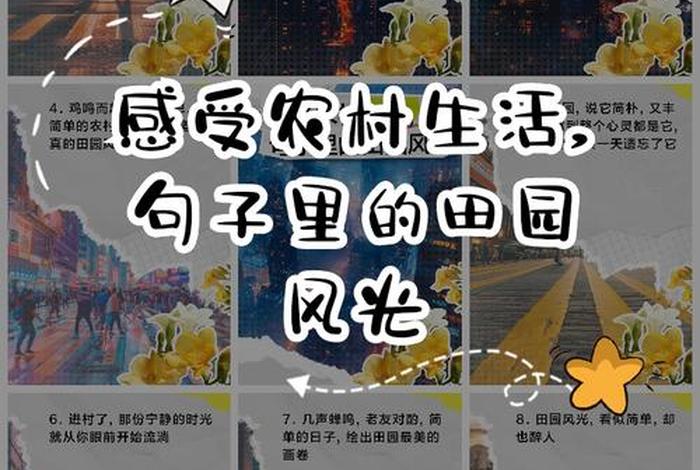 老家生活官方下载、老家生活体验感悟