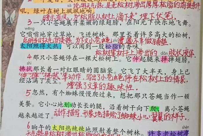 生活语文、生活语文四年级下册 生活语文、生活语文四年级下册