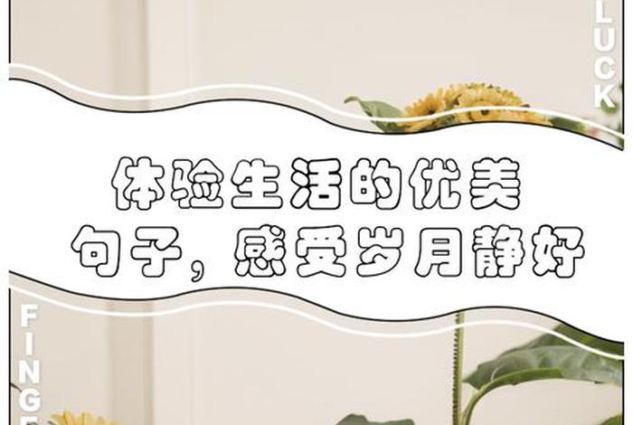 生活de(生活的句子) 生活de(生活的句子)