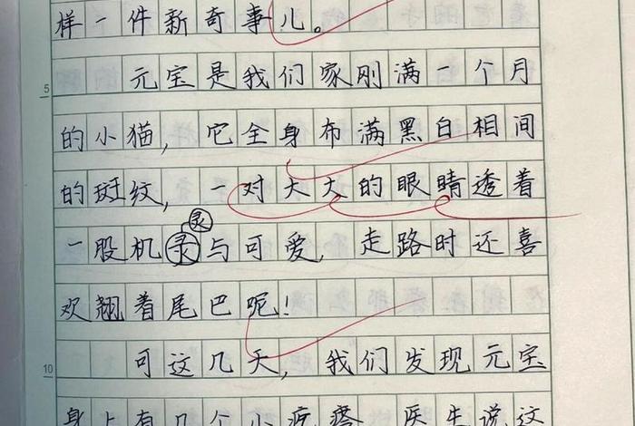 日常生活周记100篇，日常生活周记100篇三年级