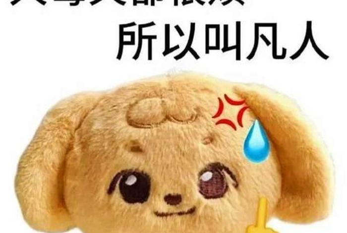 表情包生活日常 生活常用表情包