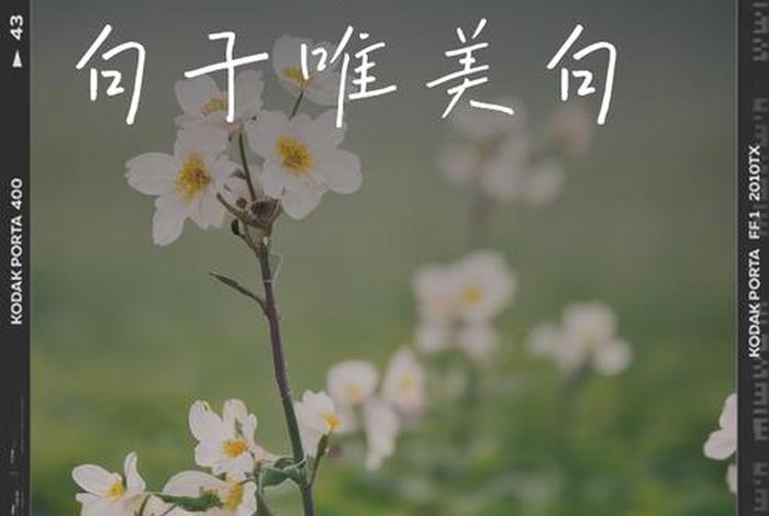 阳光生活的唯美句子；阳光生活的唯美句子摘抄