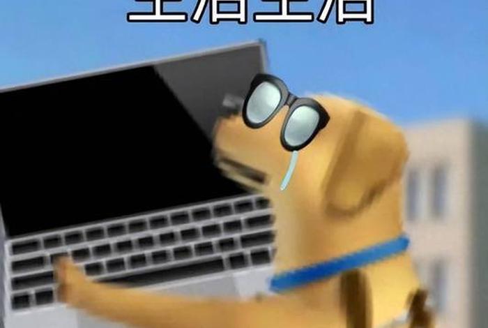 为了生活表情包(为了生活的说说图片) 为了生活表情包(为了生活的说说图片)