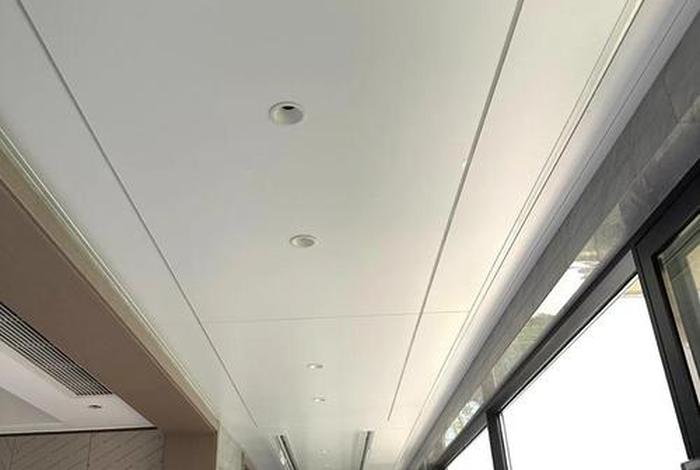 生活阳台吊顶有马蜂窝怎么办，天花板吊顶里有马蜂