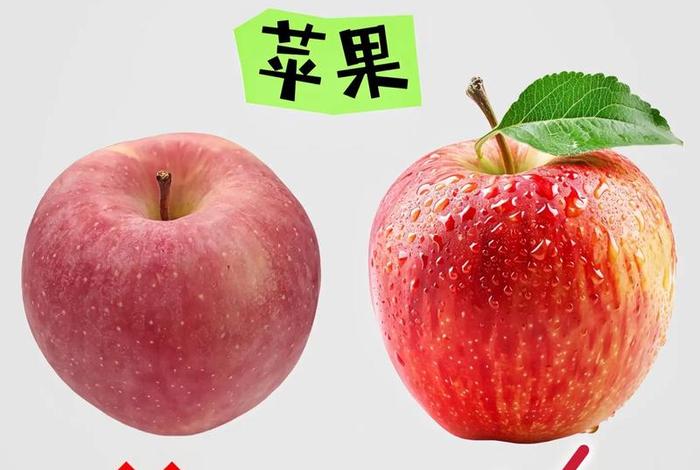 生活窍门妙招怎样挑水果(怎么挑水果最好吃) 生活窍门妙招怎样挑水果(怎么挑水果最好吃)