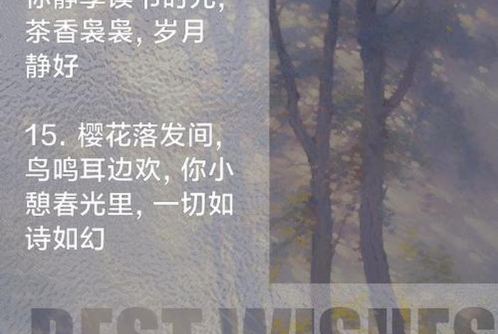 闲适的生活着 - 闲适生活的说说 闲适的生活着 - 闲适生活的说说