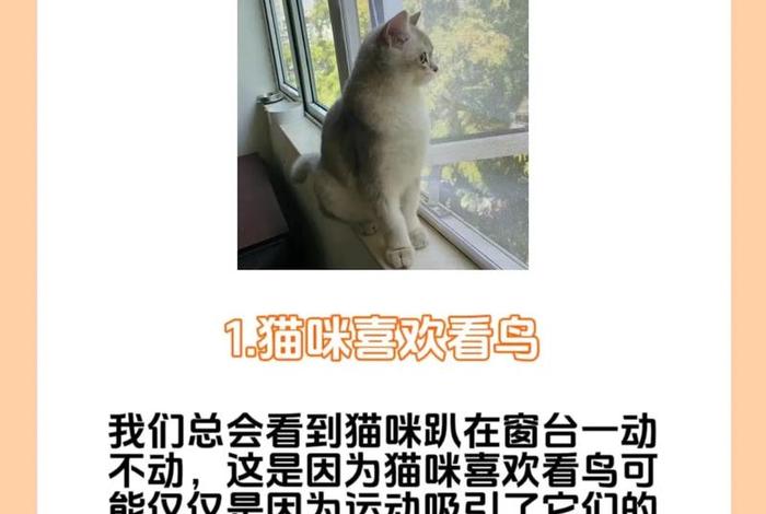 爱猫生活频道 爱猫生活组观点正确吗 爱猫生活频道 爱猫生活组观点正确吗