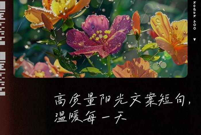 阳光生活的句子唯美短句(阳光生活的文案) 阳光生活的句子唯美短句(阳光生活的文案)