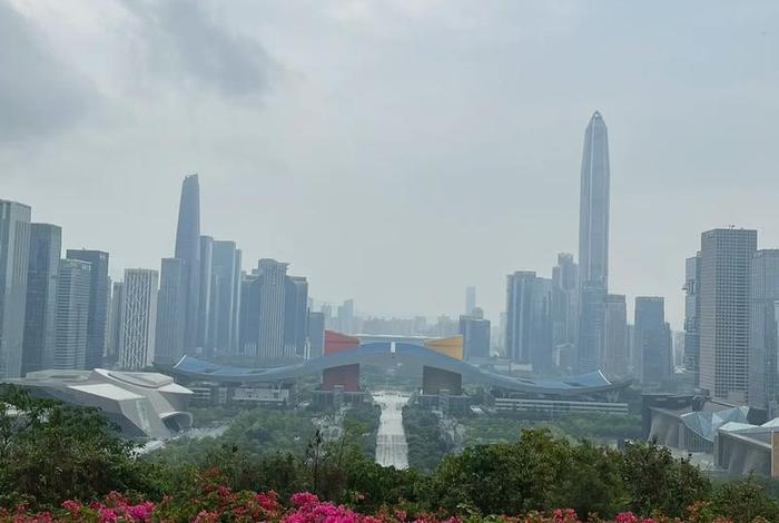 深圳一个人的生活怎么样(深圳一个人的生活怎么样啊) 深圳一个人的生活怎么样(深圳一个人的生活怎么样啊)