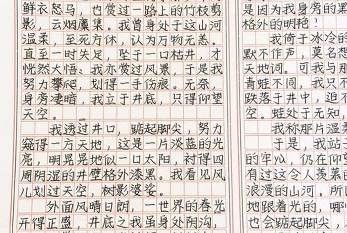 去看生活800字作文；我要看关于生活的作文350字