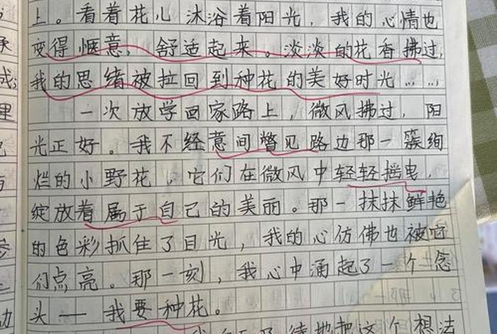 生活如画作文 生活如画作文精选 生活如画作文 生活如画作文精选