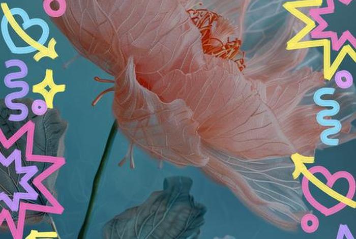 享受生活的人们叫什么(享受生活是) 享受生活的人们叫什么(享受生活是)