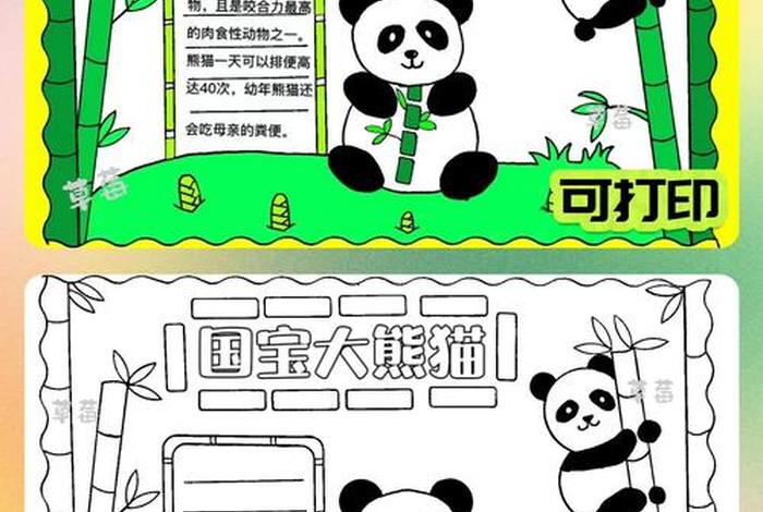 熊猫生活习性手抄报、熊猫的特点和生活特征手抄报
