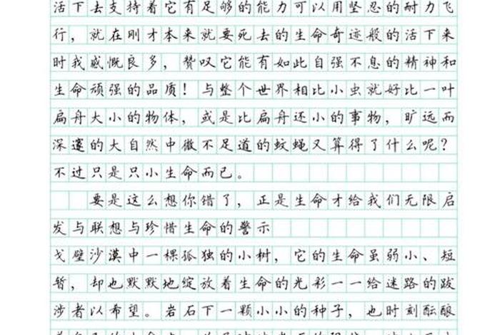 生活生命书为题的作文800(以生命生活书为题写一篇作文) 生活生命书为题的作文800(以生命生活书为题写一篇作文)