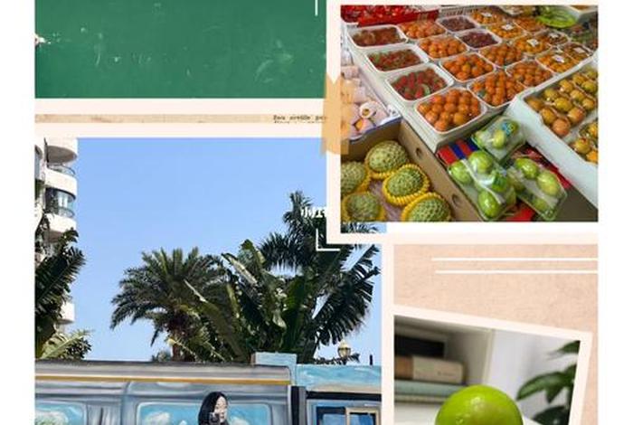 生活剧场剧情合集（生活剧场超市）