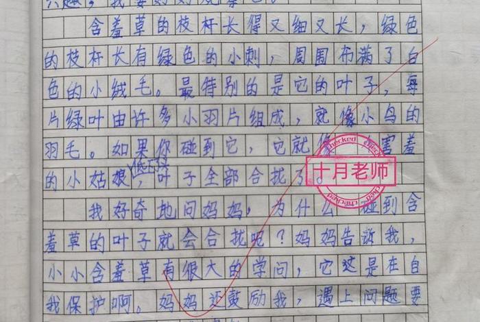 我眼中的生活作文、我眼中的生活作文300字简单