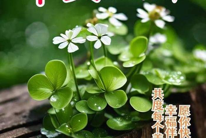 早安生活感悟经典句子、早安的生活语录经典