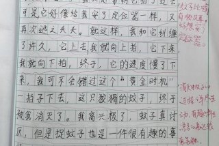 《生活的趣味》作文、生活 趣味