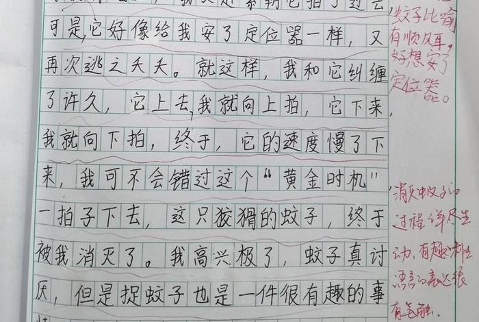 《生活的趣味》作文、生活 趣味 《生活的趣味》作文、生活 趣味