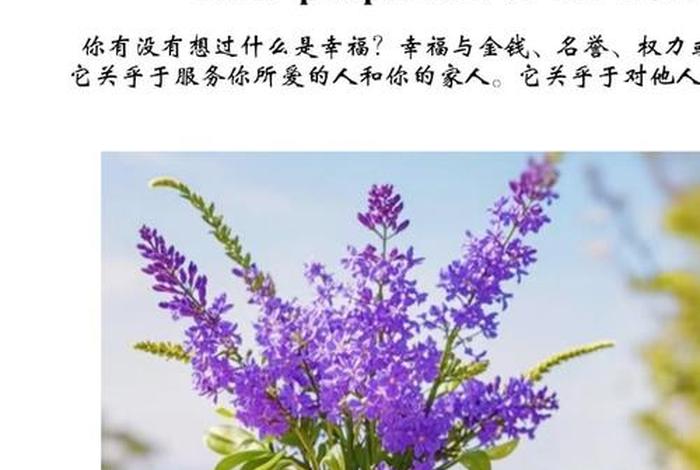 过上幸福生活英语；过上幸福生活英语咋说