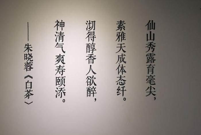 生活与茶同在、生活与茶的诗句与名言 生活与茶同在、生活与茶的诗句与名言