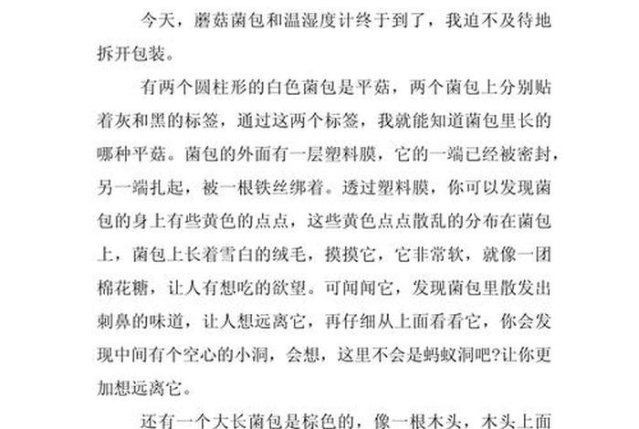 益生活征文；益生菌的作文