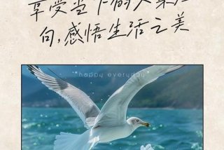 享受生活的人文案、享受生活的人文案短句