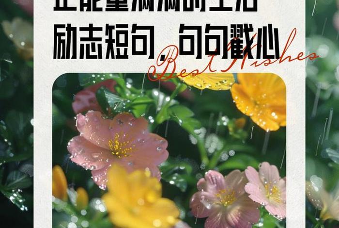 励志生活正能量句子(励志生活正能量句子简短) 励志生活正能量句子(励志生活正能量句子简短)