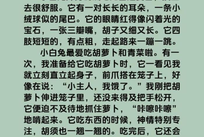 我眼中的生活是什么 我眼中的生活是什么一段话 我眼中的生活是什么 我眼中的生活是什么一段话
