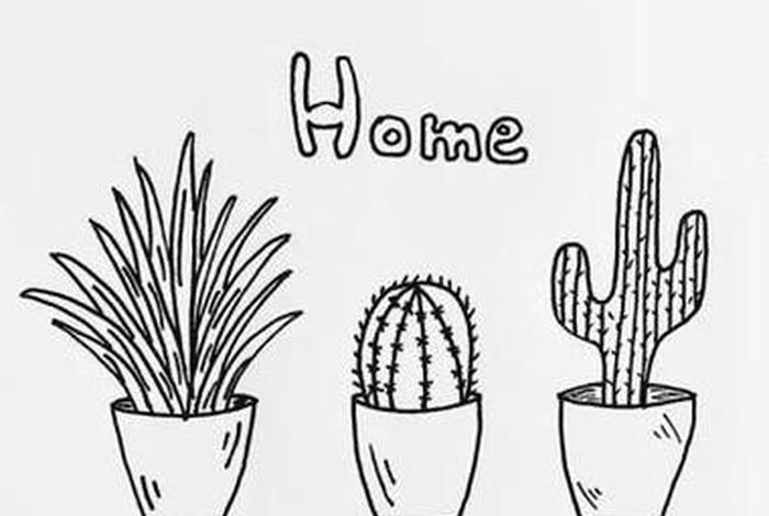 日常生活插画小清新、日常生活插画简笔画 日常生活插画小清新、日常生活插画简笔画