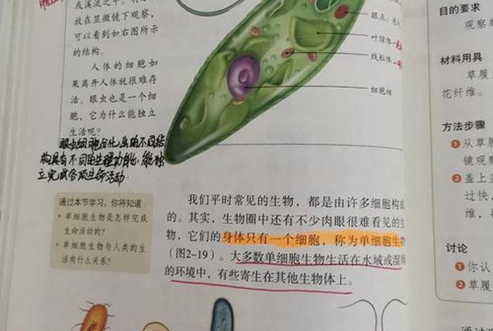寄生生活的单细胞生物 寄生生活的单细胞生物是什么