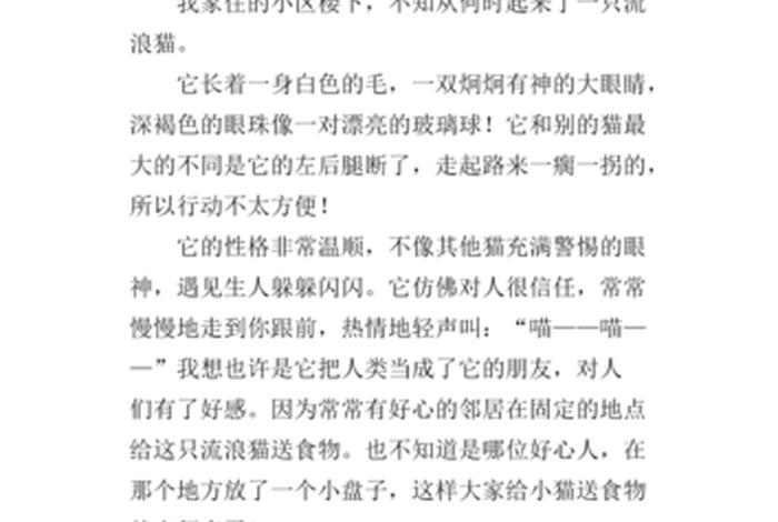 流浪猫的故事、流浪猫的故事作文 流浪猫的故事、流浪猫的故事作文