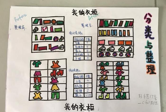 生活中的分类的相关图片有哪些 生活中的分类与整理图片