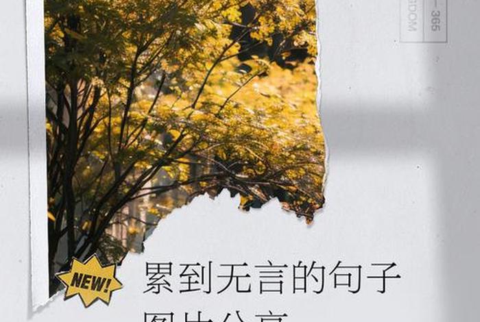 生活很累的句子说说心情短语;生活很累的经典句子说说心情两句 生活很累的句子说说心情短语;生活很累的经典句子说说心情两句