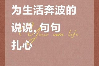 为了生活每天不停在奔波是什么歌，为了生活一直奔波,到底是为了什么