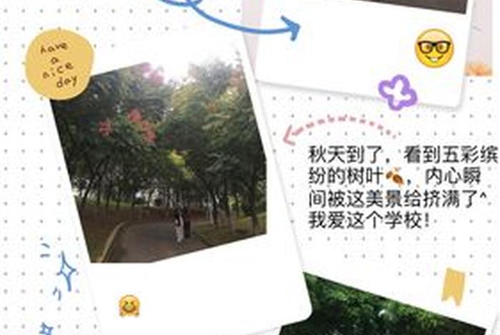 嘉好生活苹果手机下载、嘉好生活苹果手机下载安装