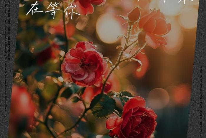 对生活的期待是什么;对生活的期待是什么意思 对生活的期待是什么;对生活的期待是什么意思