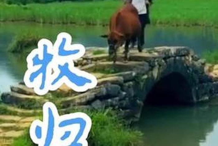 生活如画卷,生活如画是什么意思 生活如画卷,生活如画是什么意思