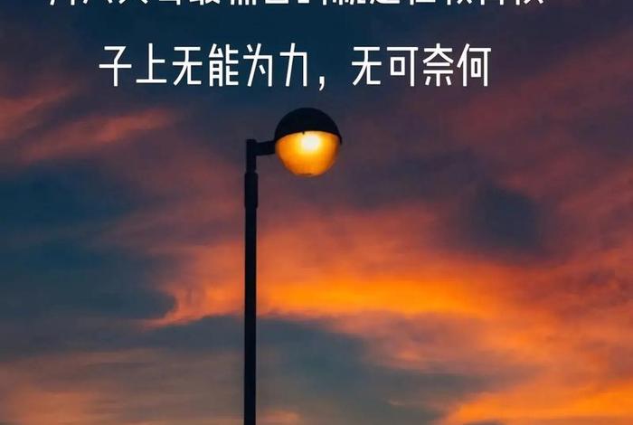 生活不止眼前的苟且尚九熙;生活不止眼前的苟且小说 生活不止眼前的苟且尚九熙;生活不止眼前的苟且小说