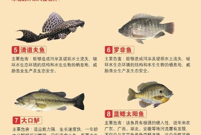 上海规范公共水域放生活动;上海适合放生的水域 上海规范公共水域放生活动;上海适合放生的水域