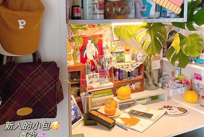 大二大学生活 大二的生活状态