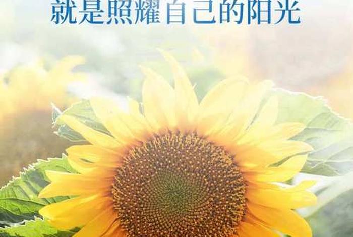 生活正能量美图（生活正能量的说说）