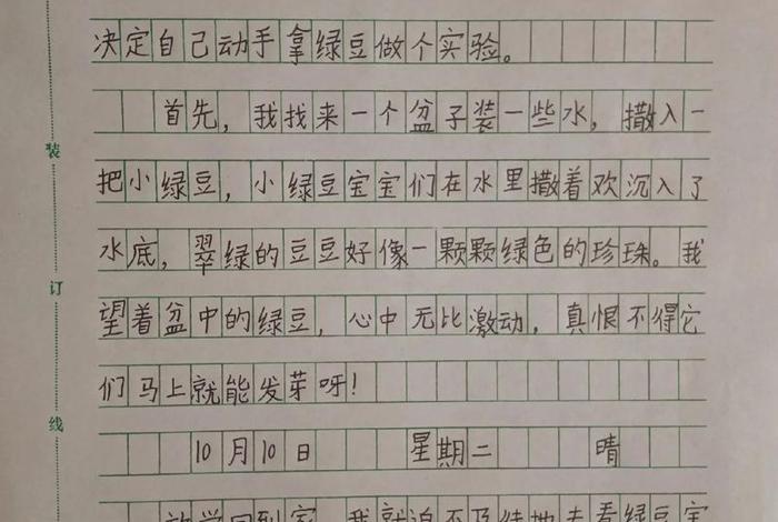 观察日记生活篇;观察生活写10篇日记 观察日记生活篇;观察生活写10篇日记