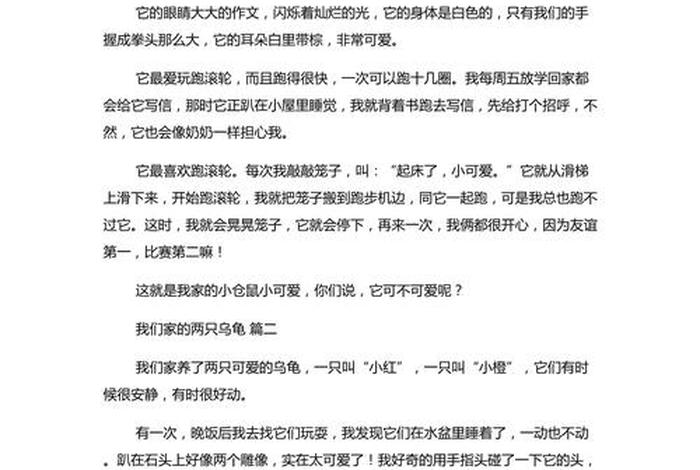 观察生活从细微之处童谣与儿歌,观察生活中的细节作文300字左右 观察生活从细微之处童谣与儿歌,观察生活中的细节作文300字左右