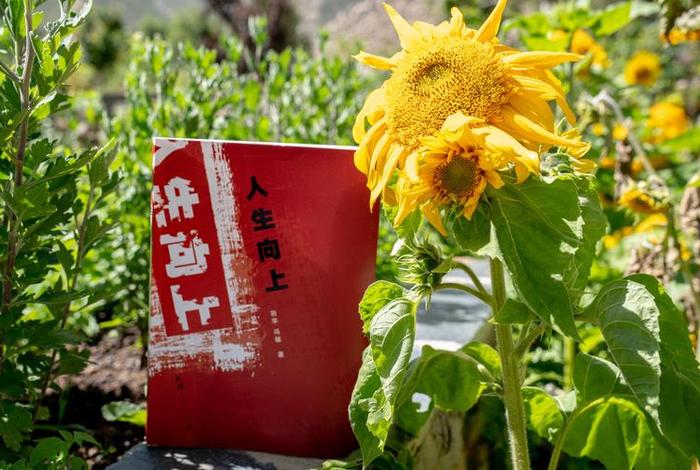 向上生活正能量图片、向上生活书 向上生活正能量图片、向上生活书