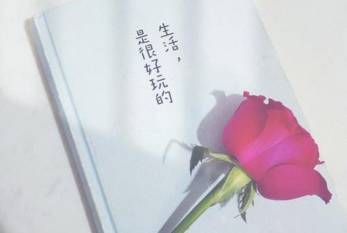 生活是美的艺术是好玩的;生活是好玩的 艺术是有所牺牲的 生活是美的艺术是好玩的;生活是好玩的 艺术是有所牺牲的