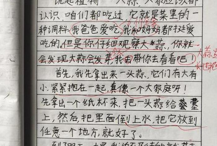 生活日记400字可抄 日记350字 简单