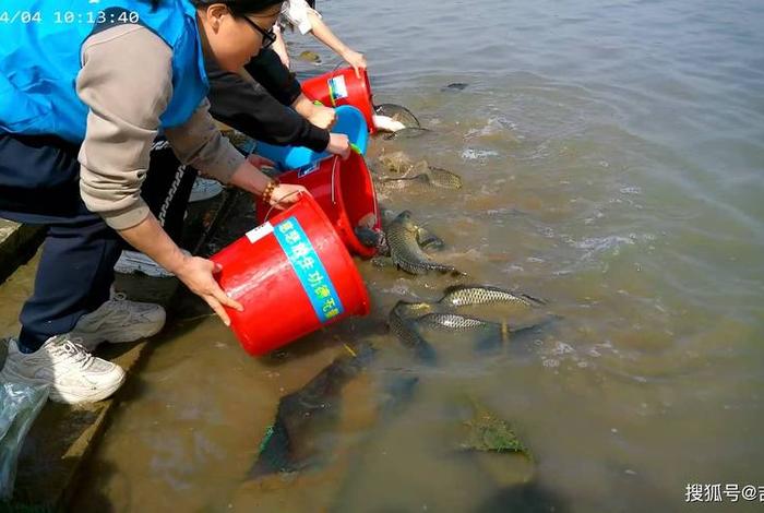 放生活动合法吗、放生是否违反法律规定 放生活动合法吗、放生是否违反法律规定